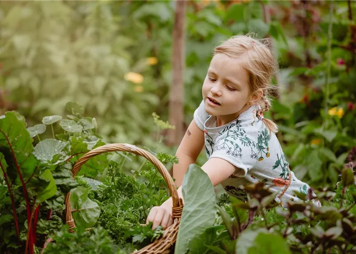 Jetzt kann geerntet werden! Kinder spielerisch einbeziehen Jetzt kann geerntet werden! Kinder spielerisch einbeziehen