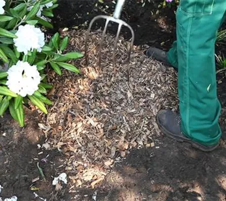 Mulch - Einsatz im Garten