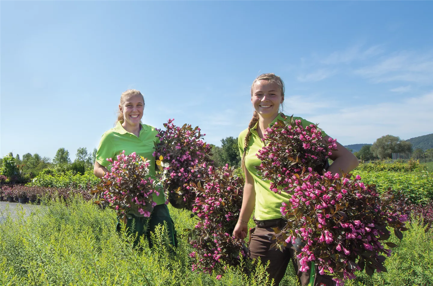 Johanna-+-Anne-Weigela-'Victoria'.png