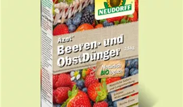 Bildvorschau