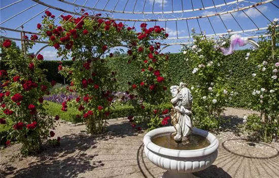 Der Barockgarten: royales Flair im eigenen Garten