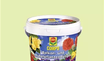 Bildvorschau
