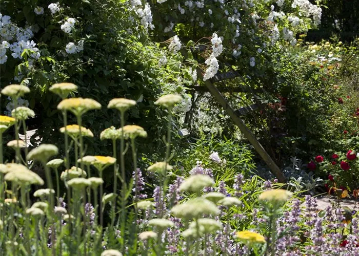 Lauschige Ecken im Garten