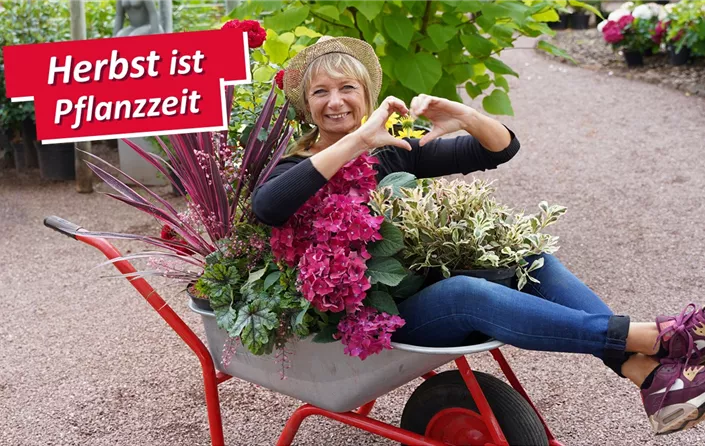 Herbst Pflanzzeit Alex.jpg