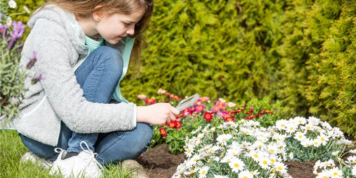 Vorsicht Garten – sichere Pflanzen für Kinder und Tiere