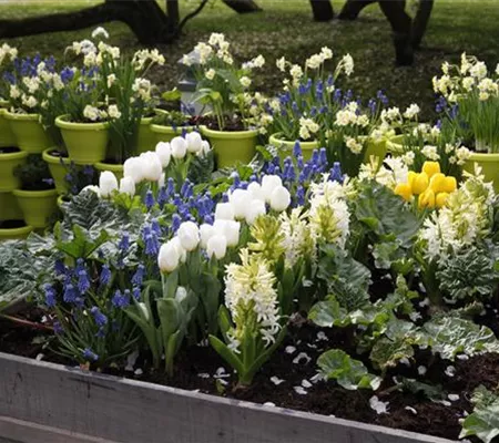 Möchten Sie Ihren Garten umstylen? So geht es ganz schnell 