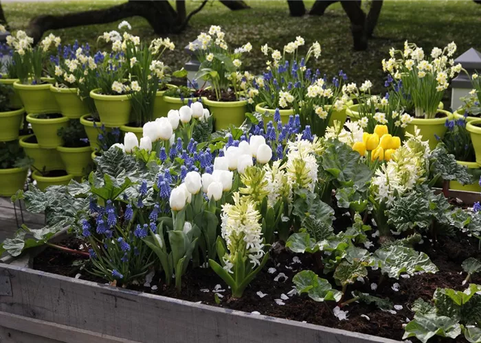 Möchten Sie Ihren Garten umstylen? So geht es ganz schnell 