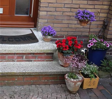 Blumenkübel - Bepflanzen mit Sommerblumen