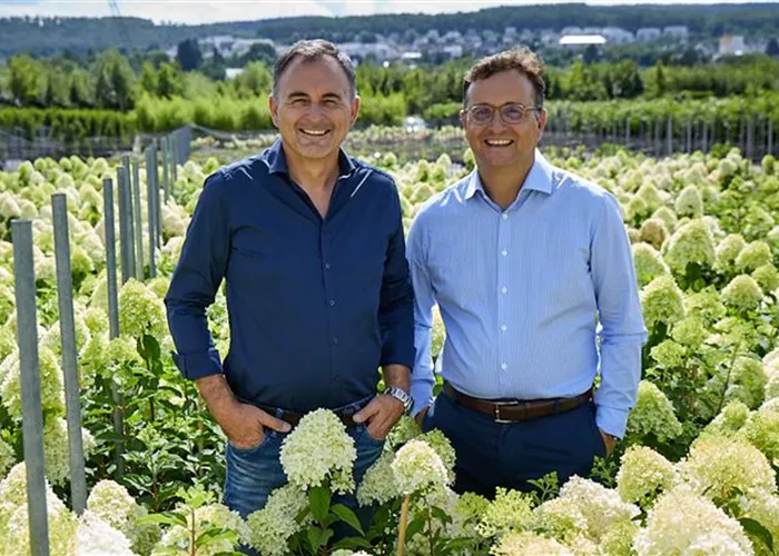 Unternehmen Unternehmen