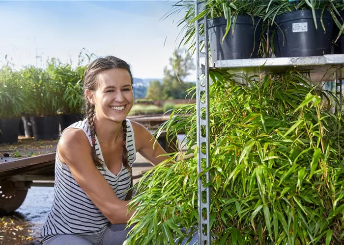 Teilzeit & Minijob Teilzeit & Minijob