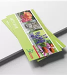 Zum Vergrößern klicken Bildvorschau