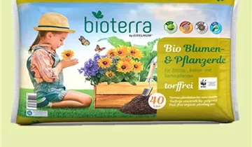 Zum Vergrößern klicken Bildvorschau