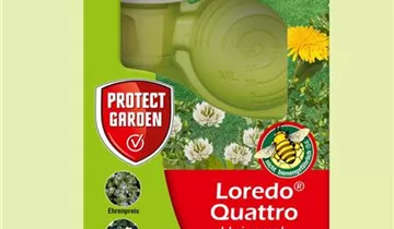 Zum Vergrößern klicken Bildvorschau