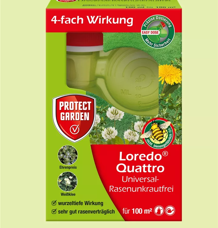 Loredo quattro Loredo quattro