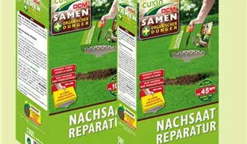 Zum Vergrößern klicken Bildvorschau