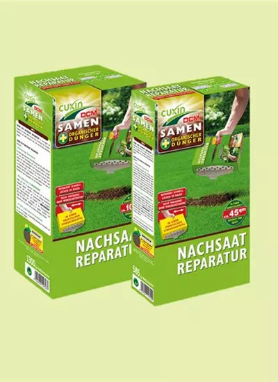 Rasennachsaat Rasennachsaat