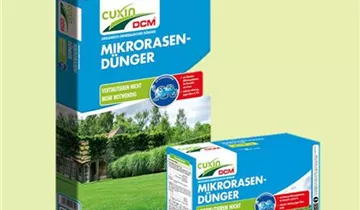 Zum Vergrößern klicken Bildvorschau