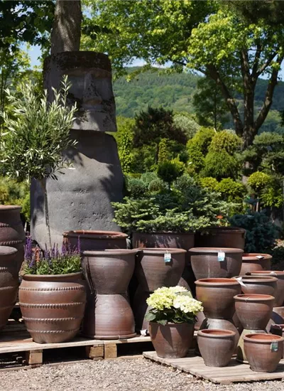 Terrakotta Gefäße Terrakotta Gefäße