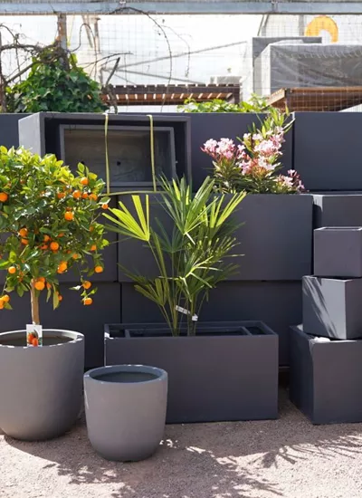 Clayfiber  Clayfiber