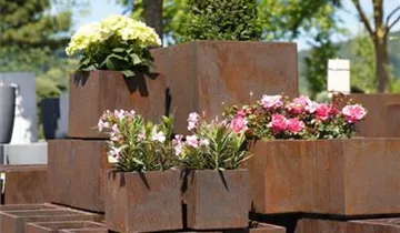 Zum Vergrößern klicken Bildvorschau