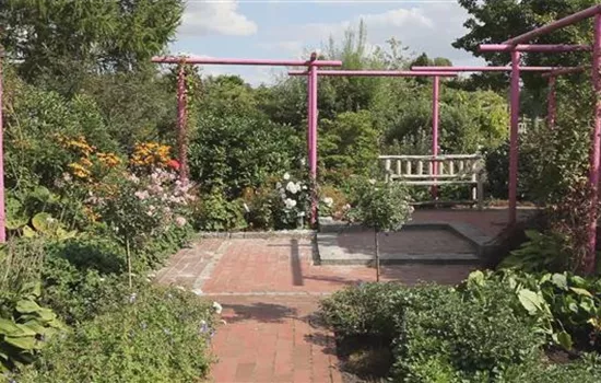 Gartengestaltung - Immergrüner Garten Gartengestaltung - Immergrüner Garten