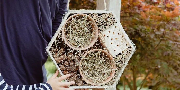 Ein Insektenhotel im Garten - Urlaub für Biene und Co.