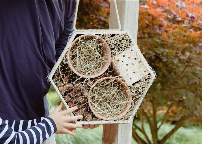 Ein Insektenhotel im Garten - Urlaub für Biene und Co.