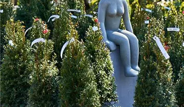 Bildvorschau