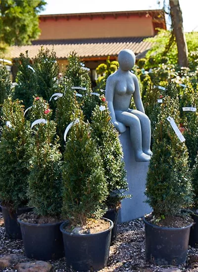 Eiben Kegel Eiben Kegel