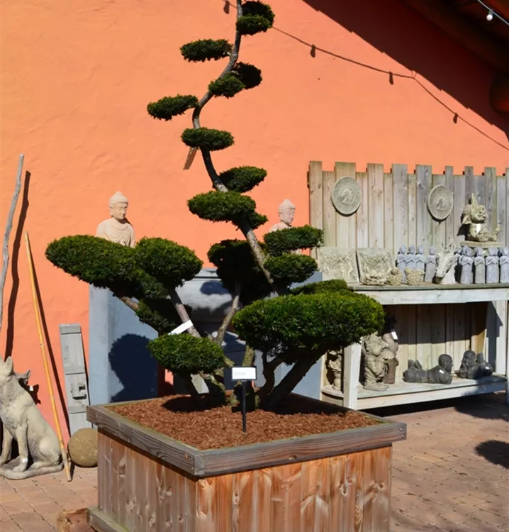 besondere und augefallene Formen besondere und augefallene Formen