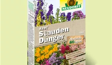 Zum Vergrößern klicken Bildvorschau