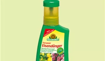 Zum Vergrößern klicken Bildvorschau