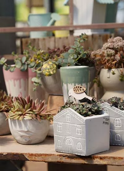 dauerhaft bepflanzte Geschenkideen dauerhaft bepflanzte Geschenkideen