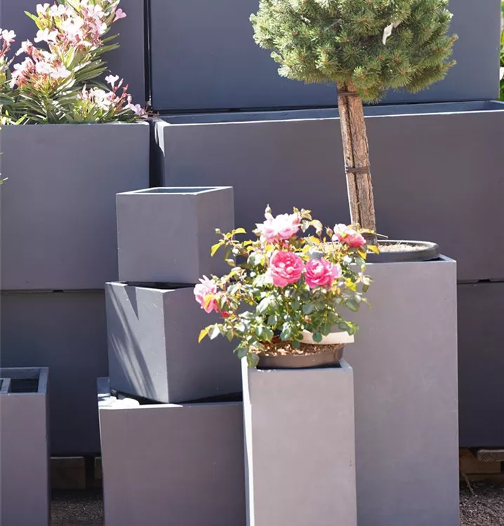 Quader (Cubi) Quader (Cubi)