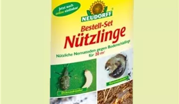 Zum Vergrößern klicken Bildvorschau