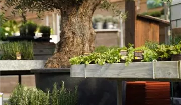 Bösen GmbH & Co.KG Bösen GmbH & Co.KG