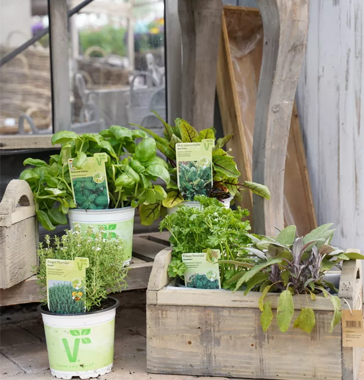 in großer Auswahl in großer Auswahl