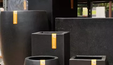 Zum Vergrößern klicken Bildvorschau