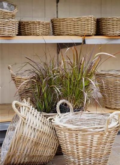 Weidenkörbe Weidenkörbe