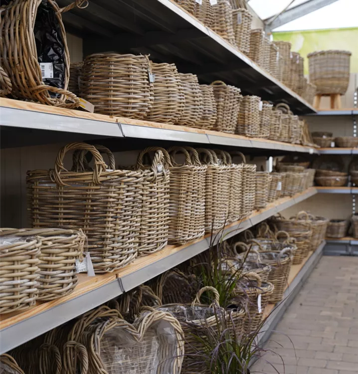 in riesiger Auswahl in riesiger Auswahl