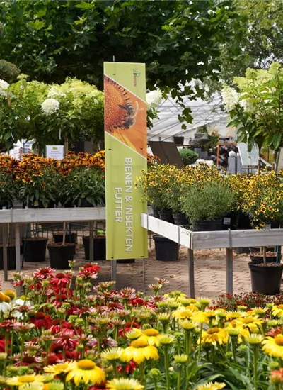 Staudensortiment Staudensortiment