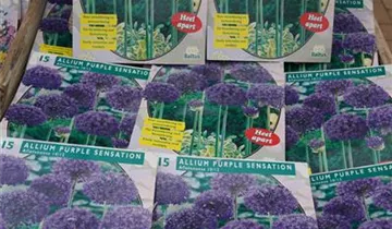 Zum Vergrößern klicken Bildvorschau