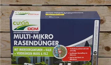 Bildvorschau