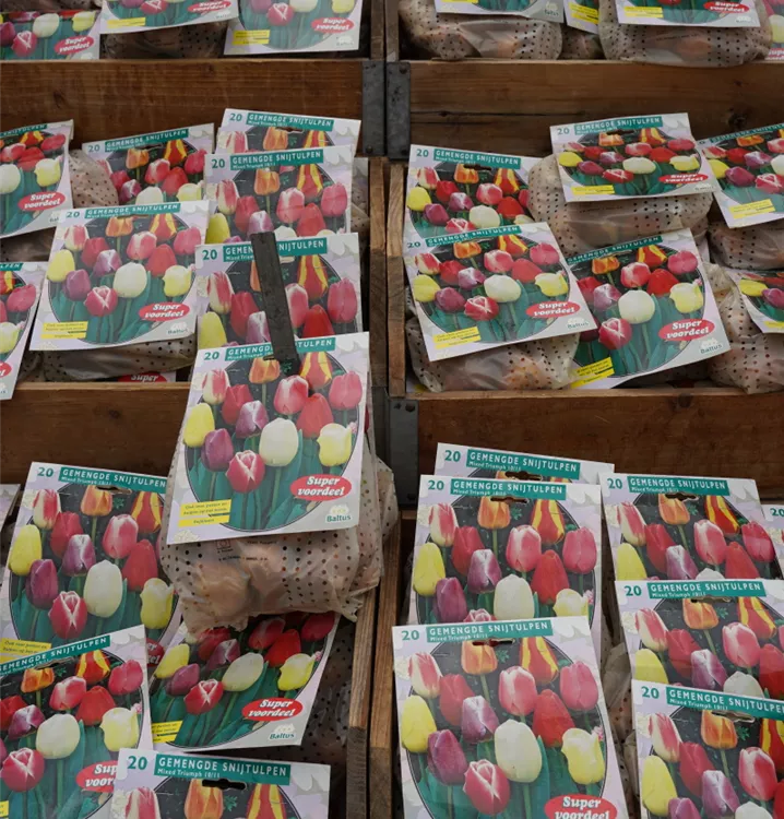 Darwin-Mix Darwin-Mix