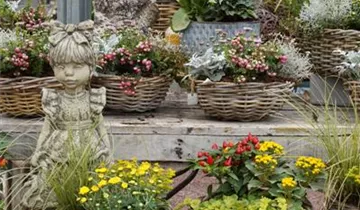 Zum Vergrößern klicken Bildvorschau