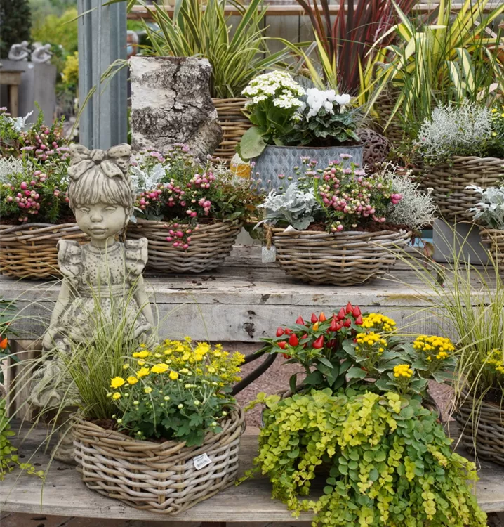 in warmen Farbtönen bepflanzt in warmen Farbtönen bepflanzt