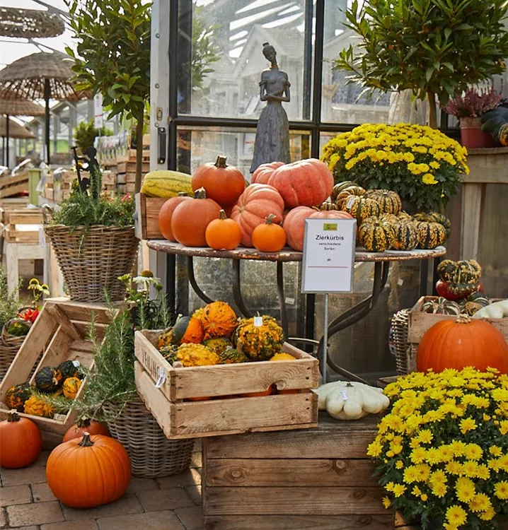 bunte Form- & Farbenvielfalt bunte Form- & Farbenvielfalt