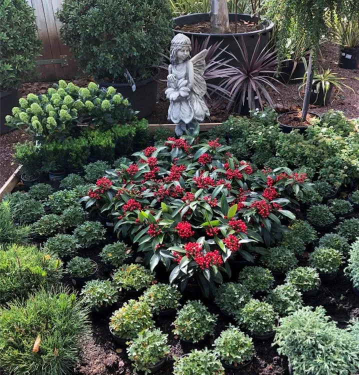 Wir beraten Sie gerne! Wir beraten Sie gerne!