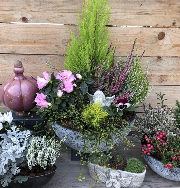 stilvoll bepflanzt und dekoriert stilvoll bepflanzt und dekoriert