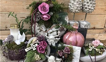 Zum Vergrößern klicken Bildvorschau